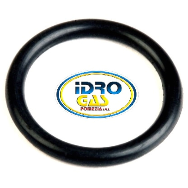 ANELLO OR 22X3 EPDM