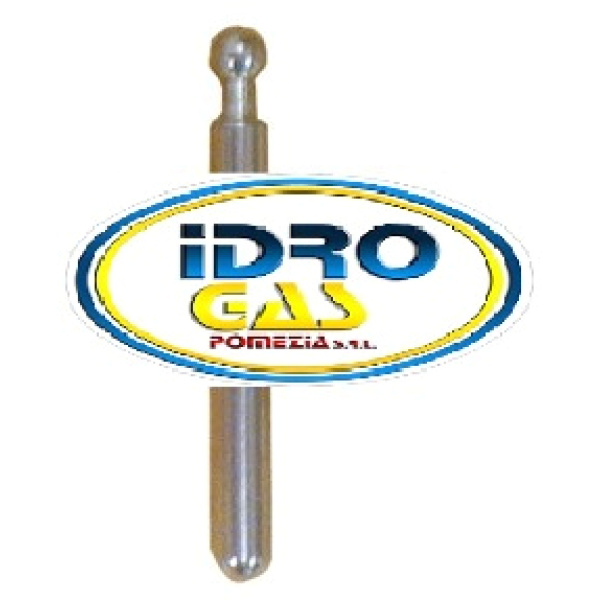 ASTA PER PIATTELLO CONSENSO