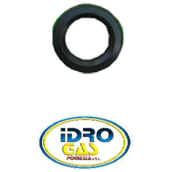 GUARNIZIONE SCAMBIATORE JUNKERS PICCOLA