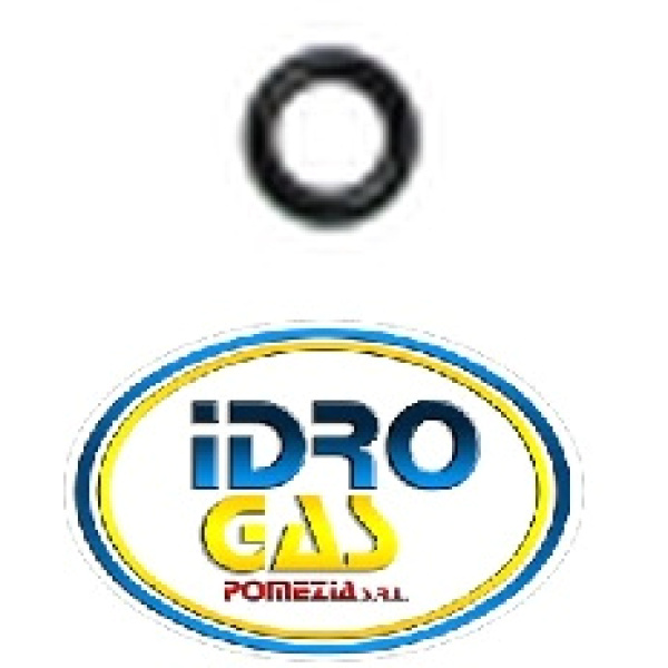 O-RING TESTA RUBINETTO CARICO