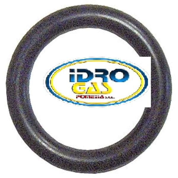 GUARNIZIONE OR GRUPPO RIELLO