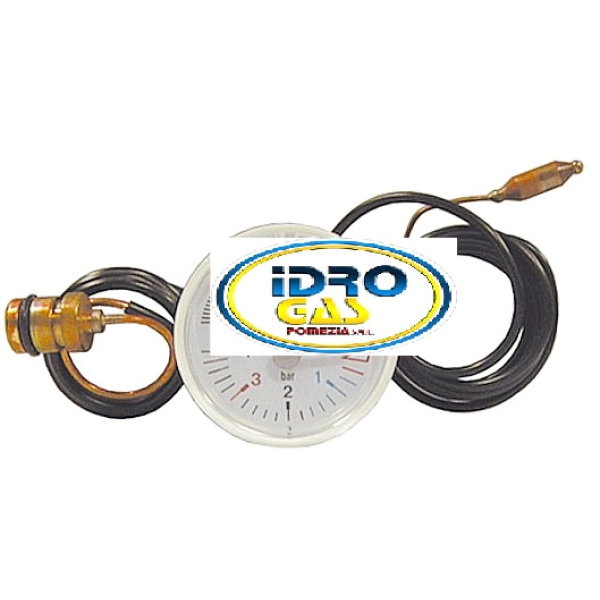 TERMOIDROMETRO RIELLO D.42