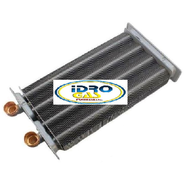 SCAMBIATORE PRIMARIO RIELLO