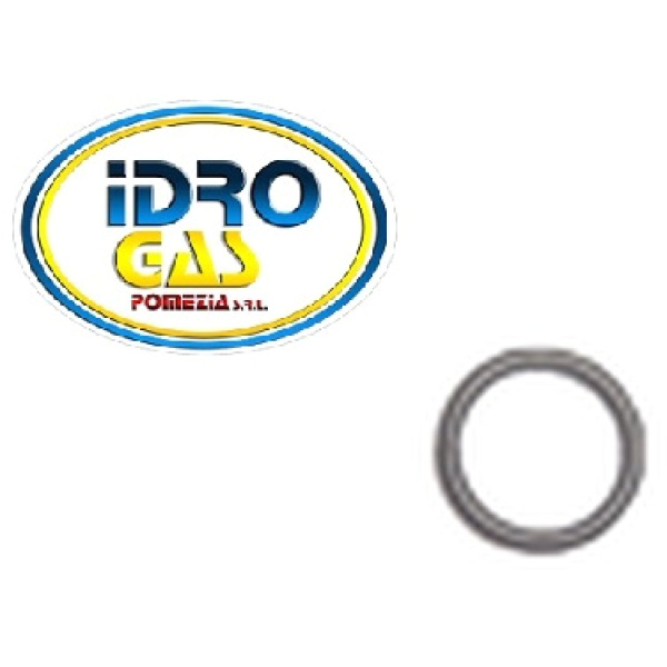 GUARNIZIONE OR D.13,95X2,62