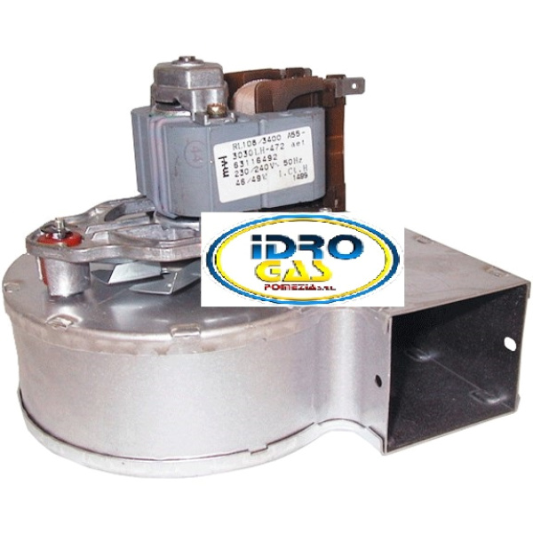 ESTRATTORE BERETTA 52x60 24K